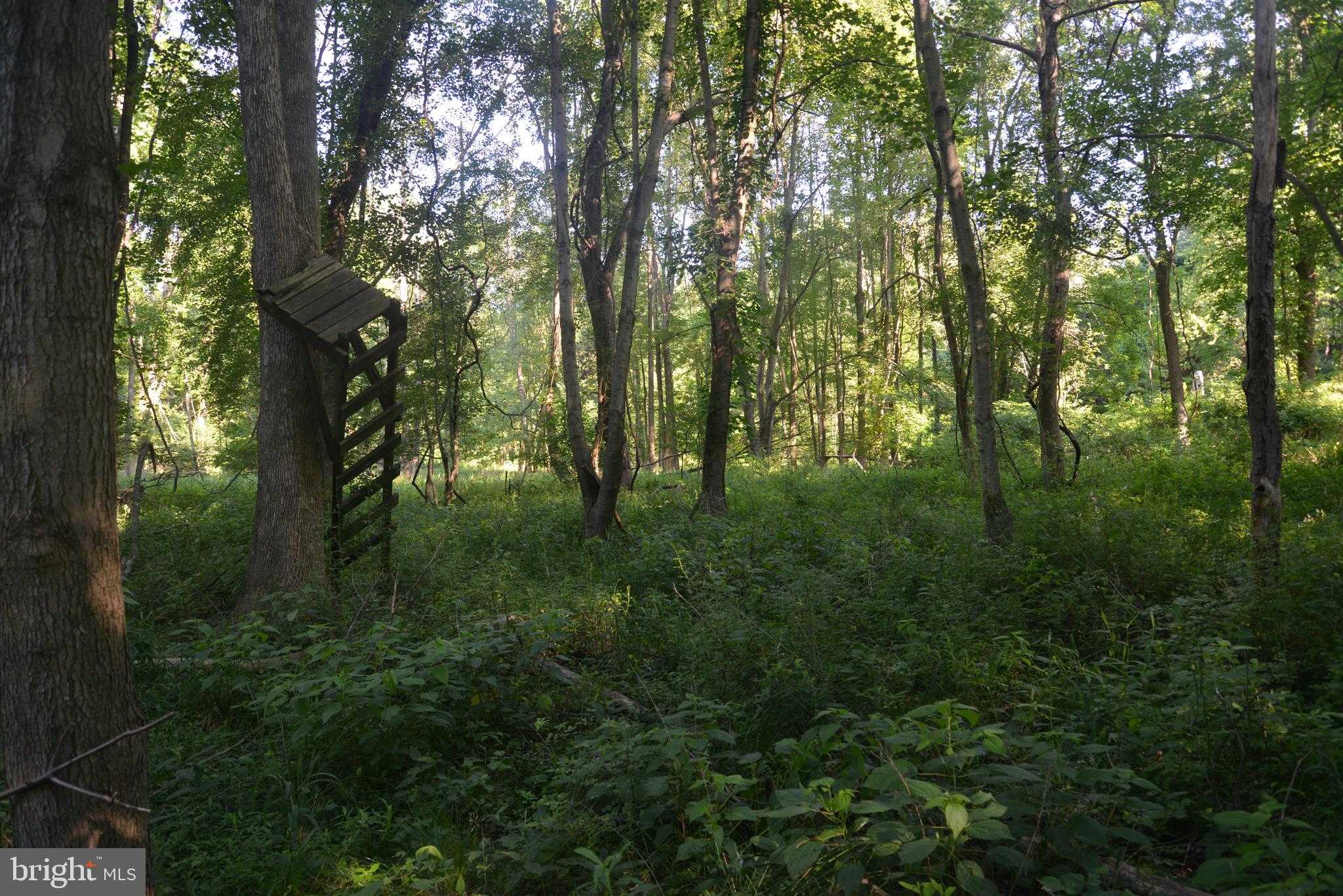 Sparks Mill Rd photo 24