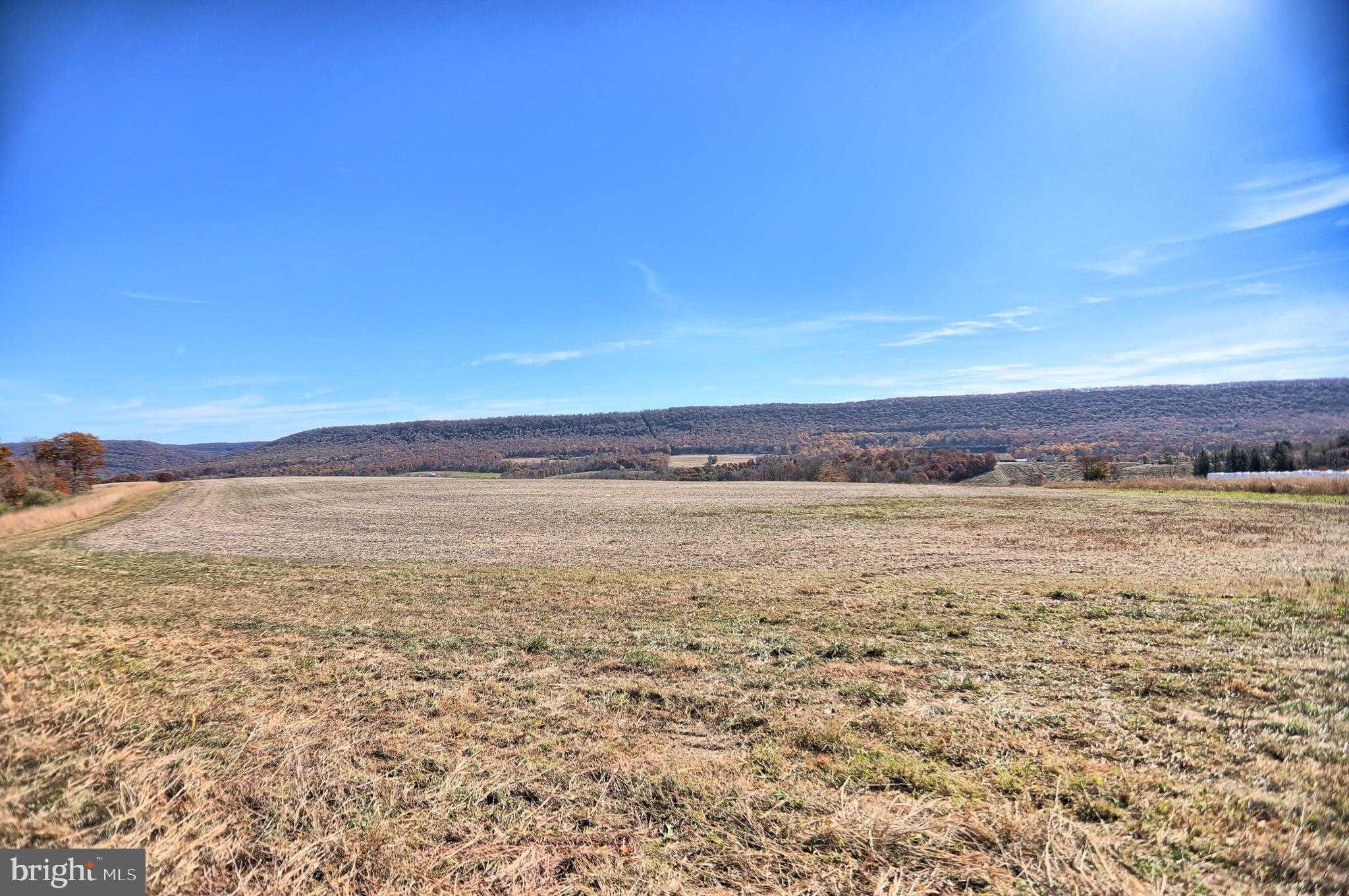 3101 Irish Valley Rd photo 4