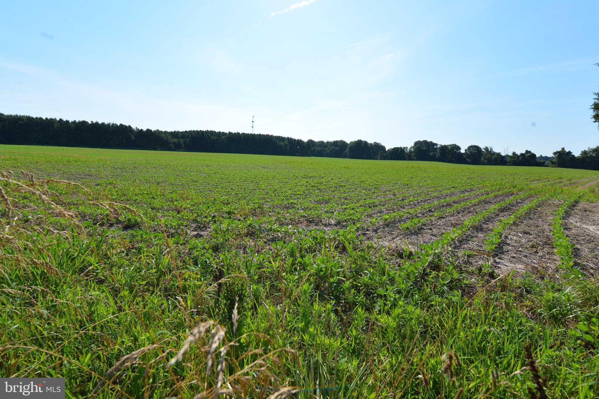 Sparks Mill Rd photo 10