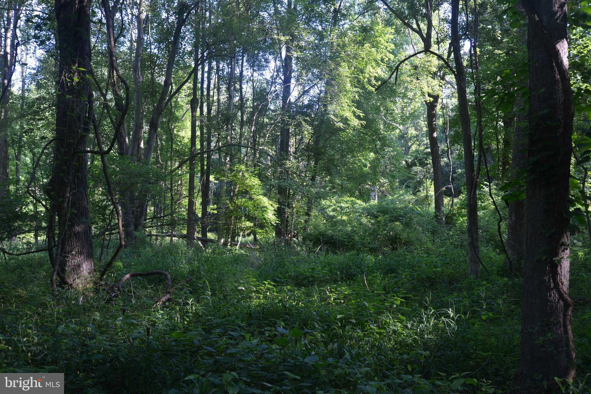 Sparks Mill Rd photo 26