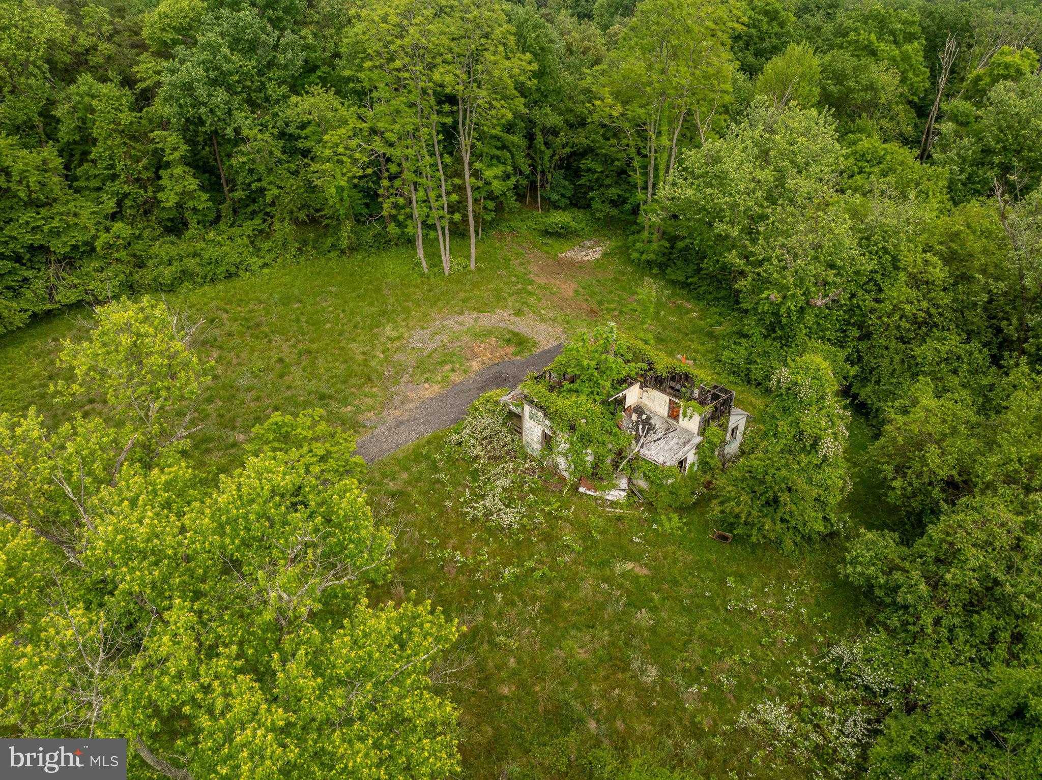 3721 Tolson Pl photo 17