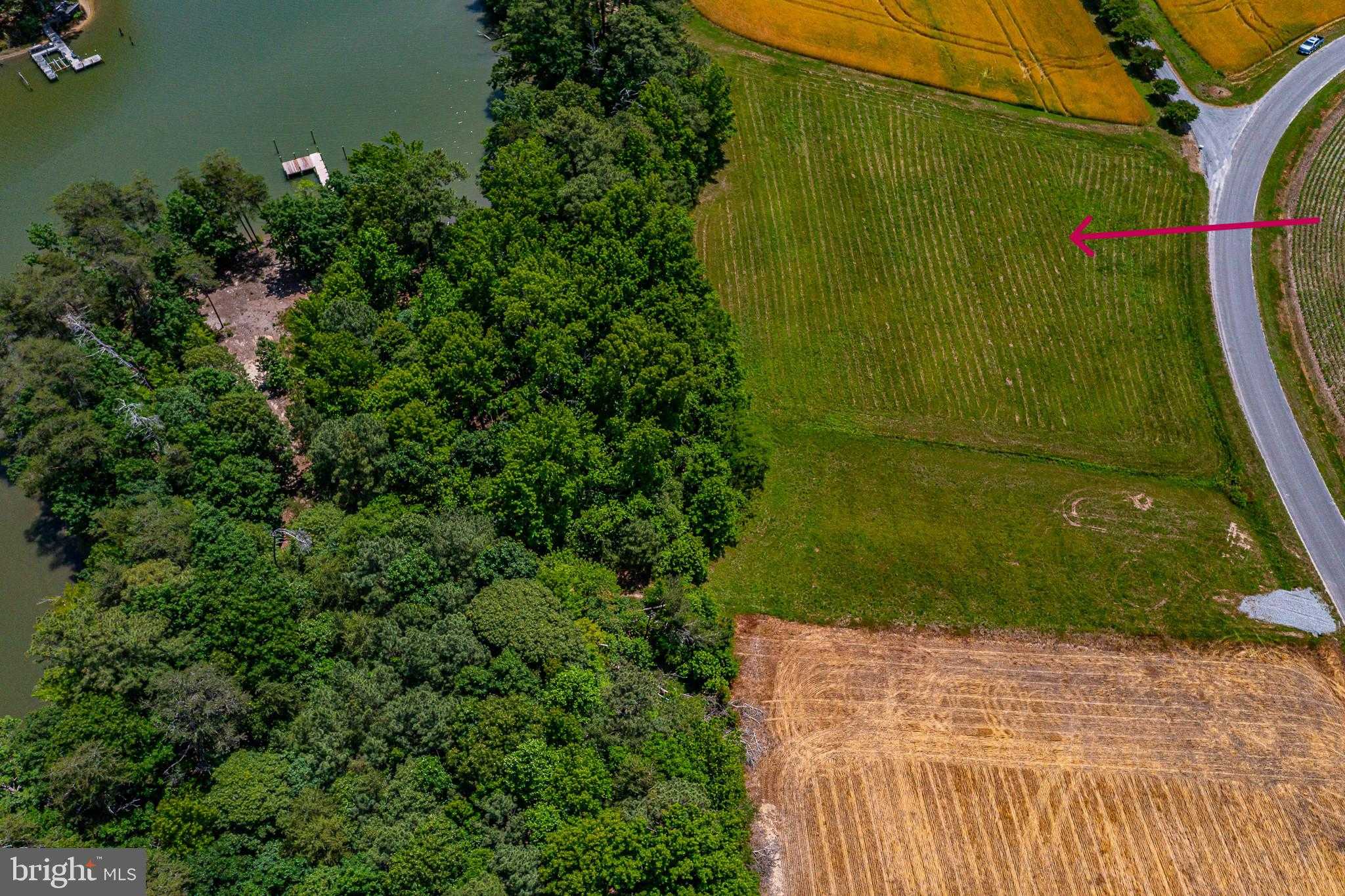 Cranes Creek Harbor Dr photo 17