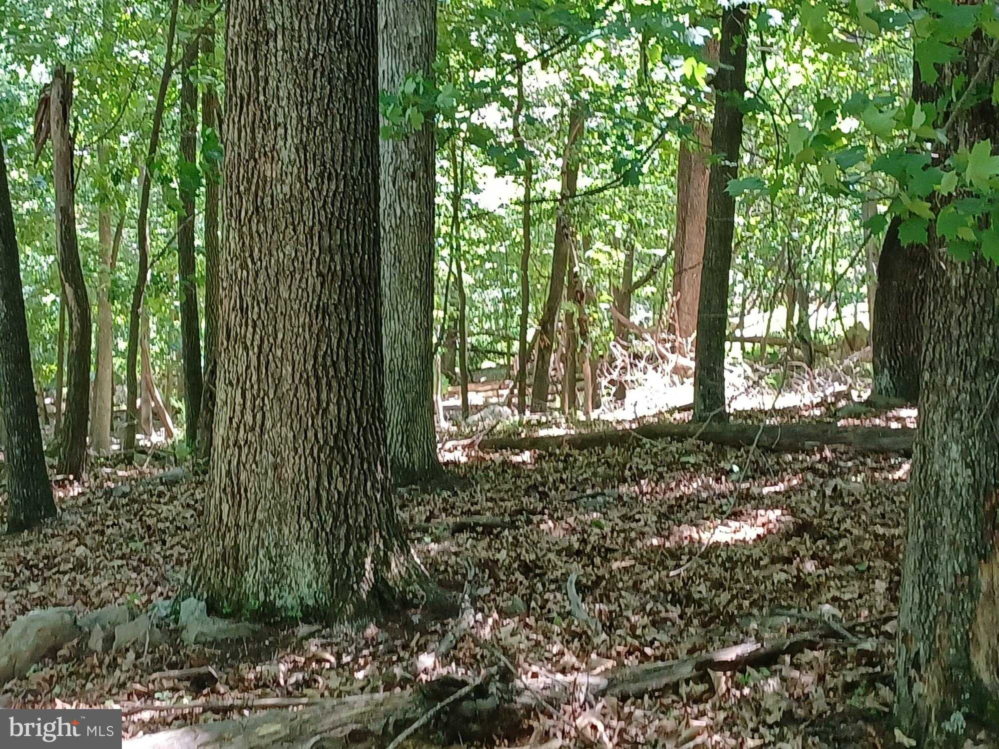 Wild Apple Ln photo 17