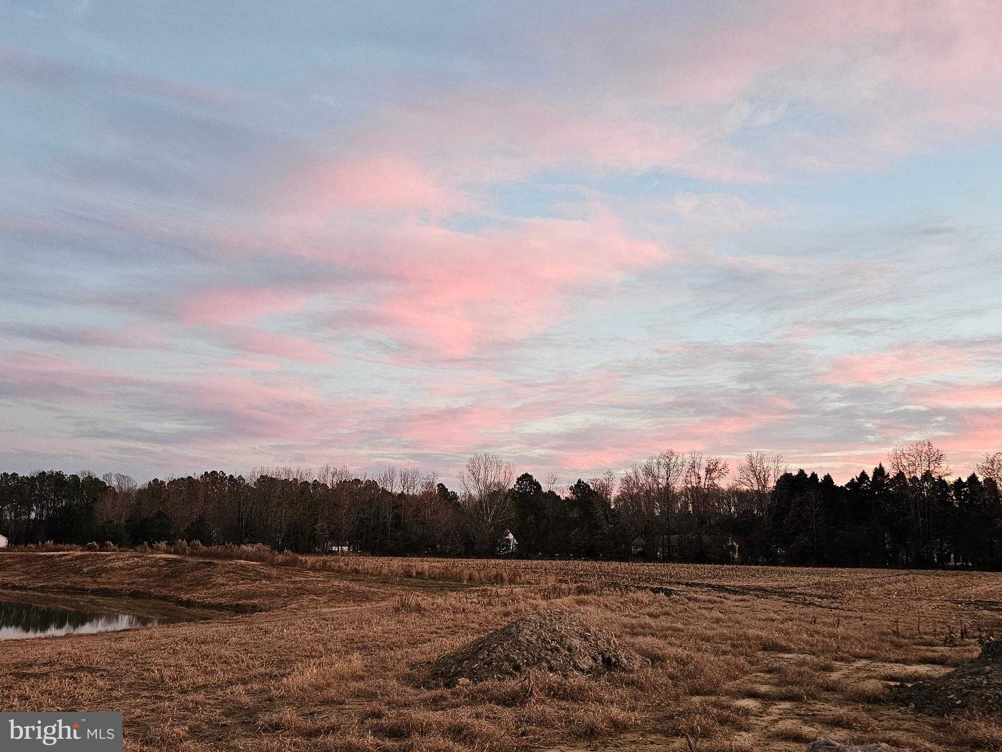 Mourning Dove Way photo 30