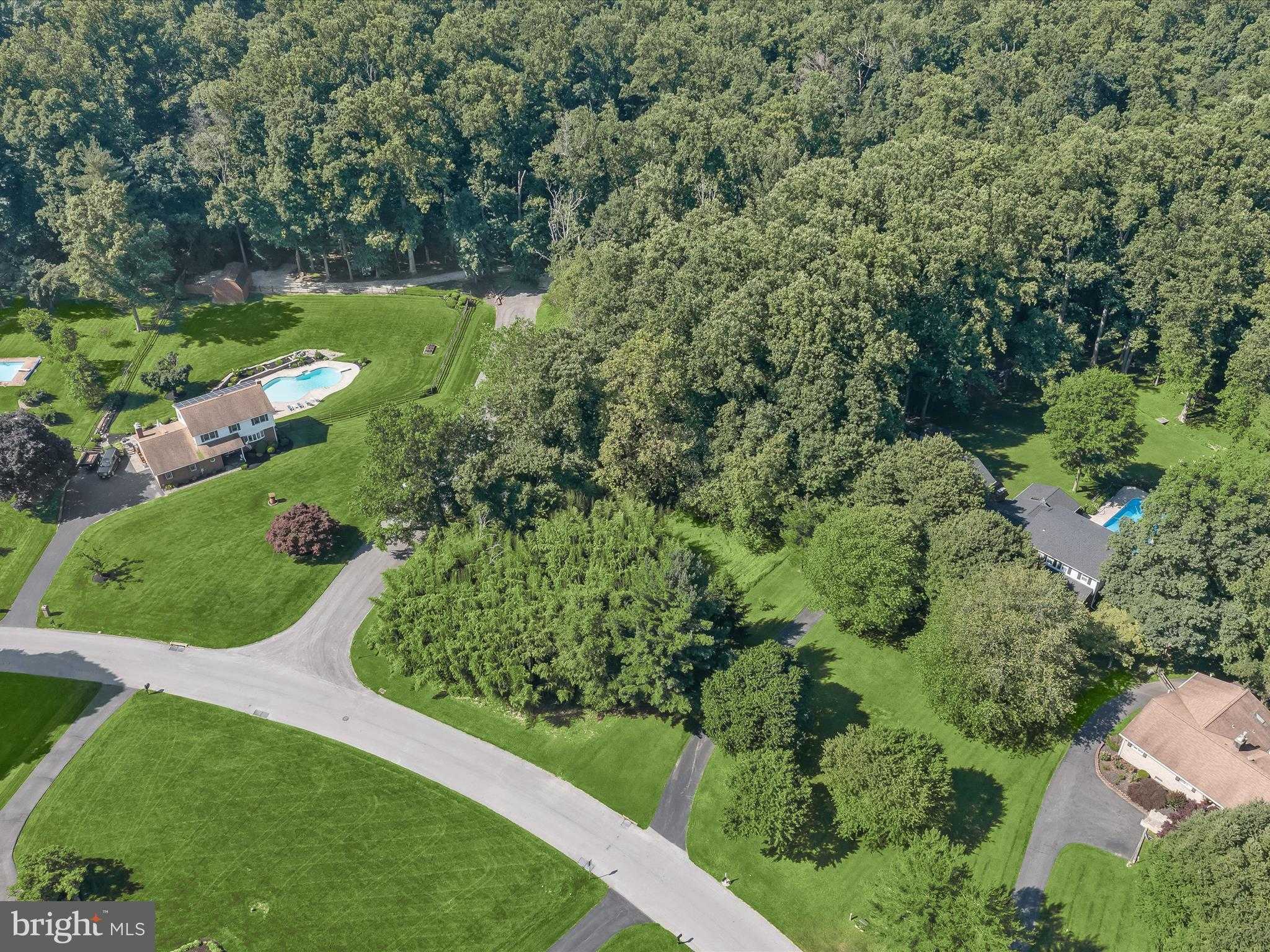 Evergreen Way photo 12