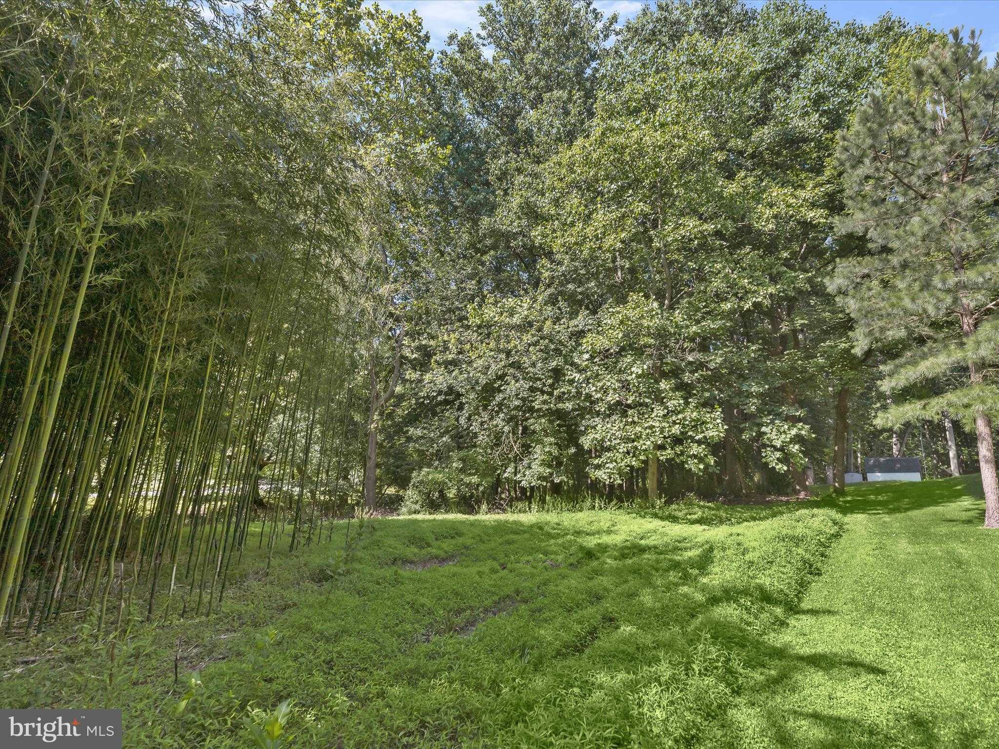 Evergreen Way photo 4