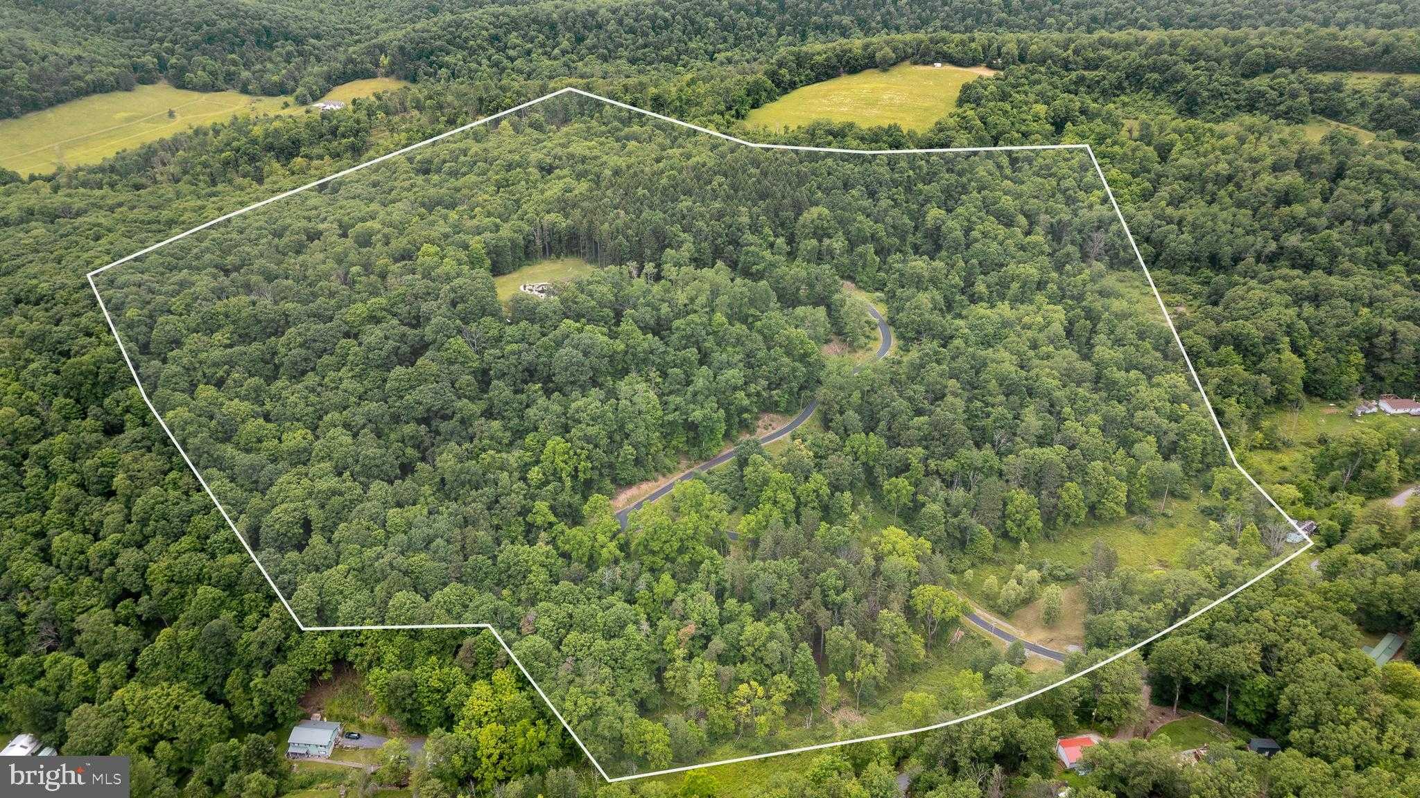 1296 Sunnyside Hollow Rd photo 2