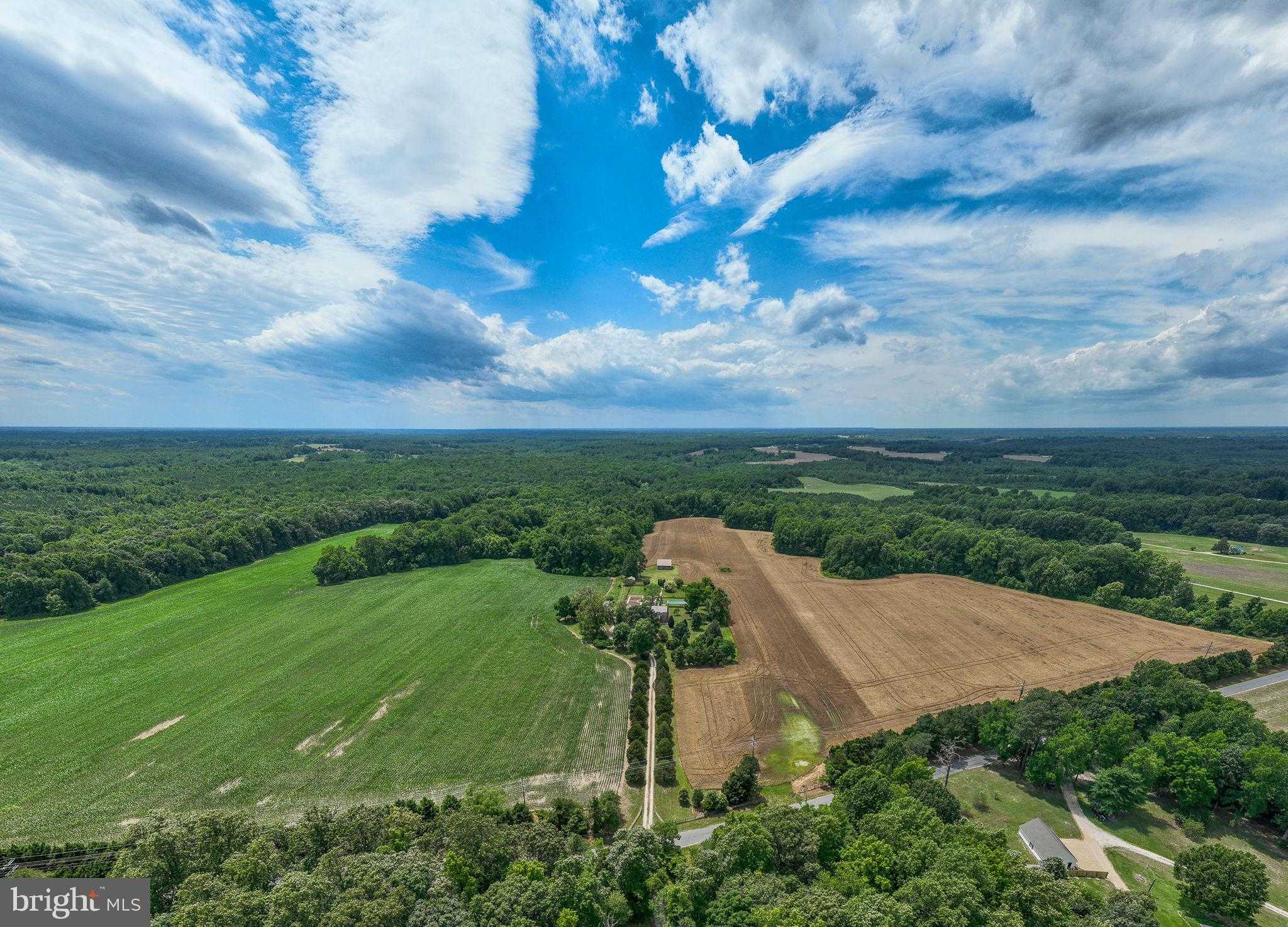 2459 Dunbrooke Rd photo 43