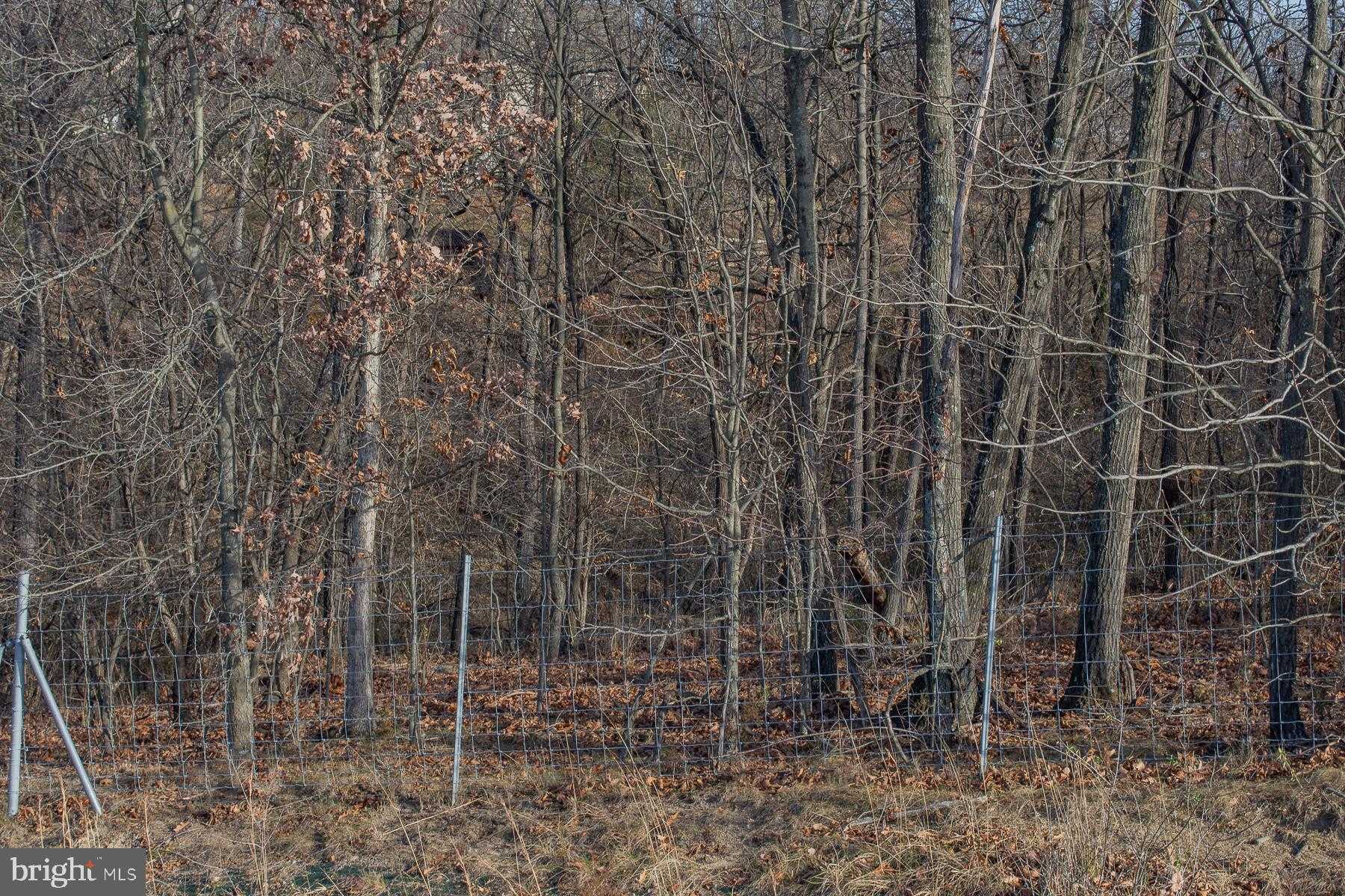 Remainder T.M OPEQUON CONNECTOR photo 20