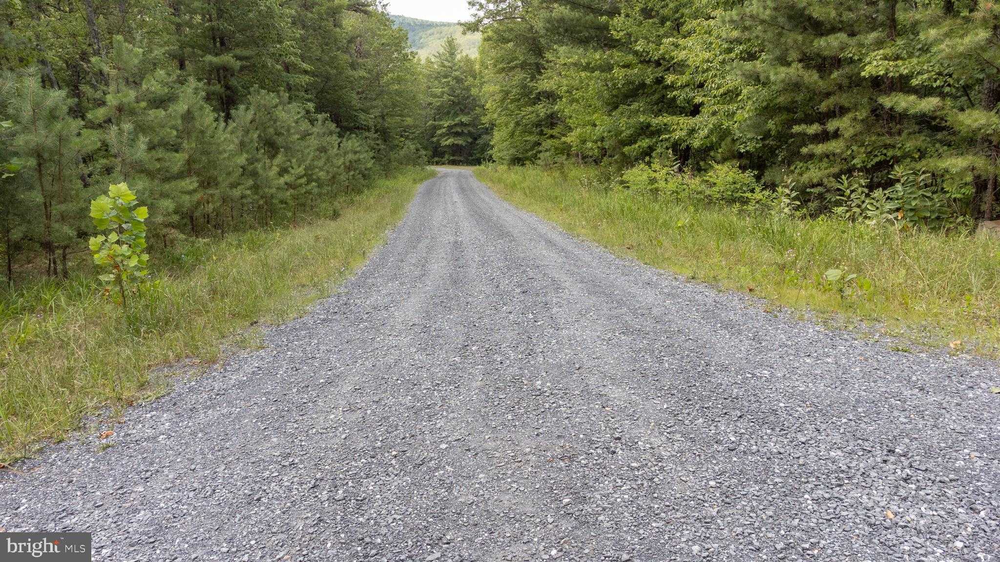 Birds Nest Rd photo 5