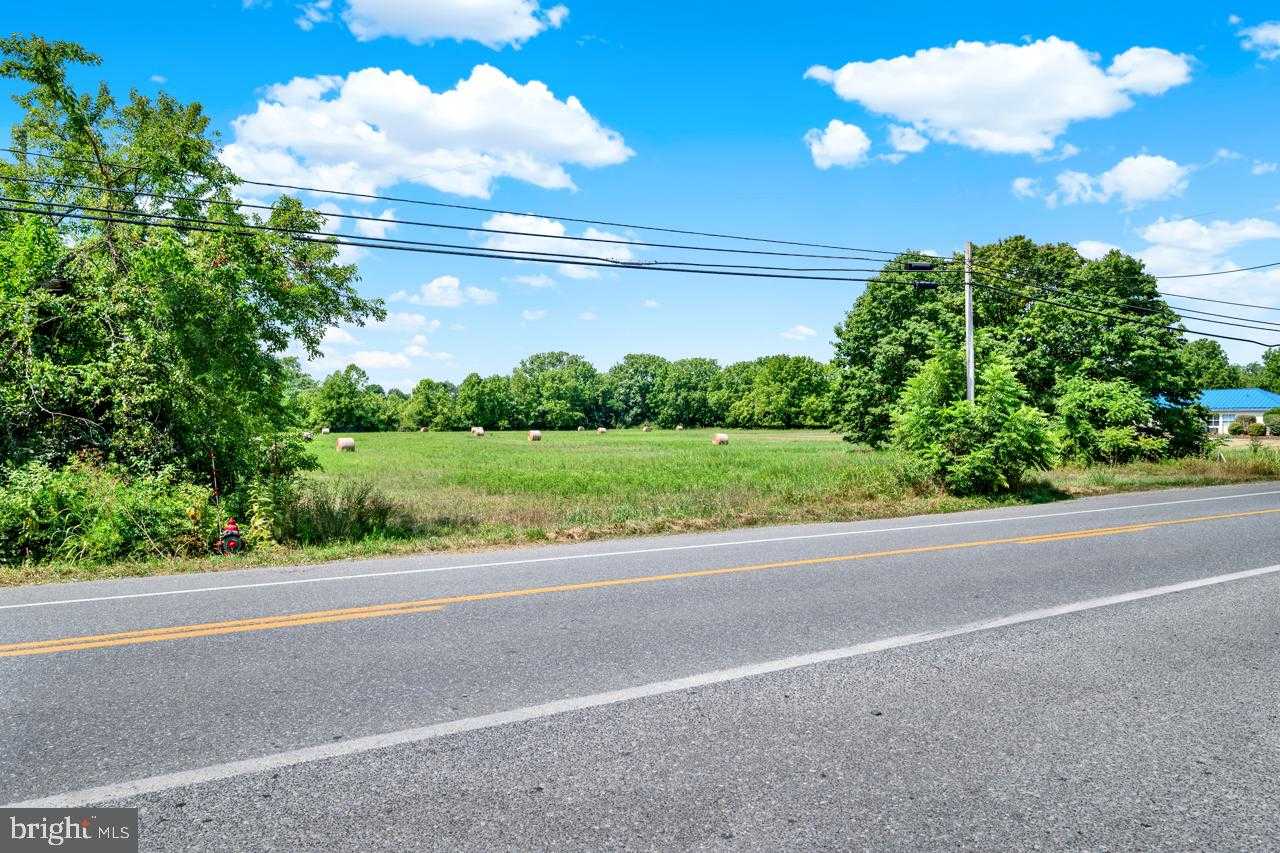 S George St photo 35