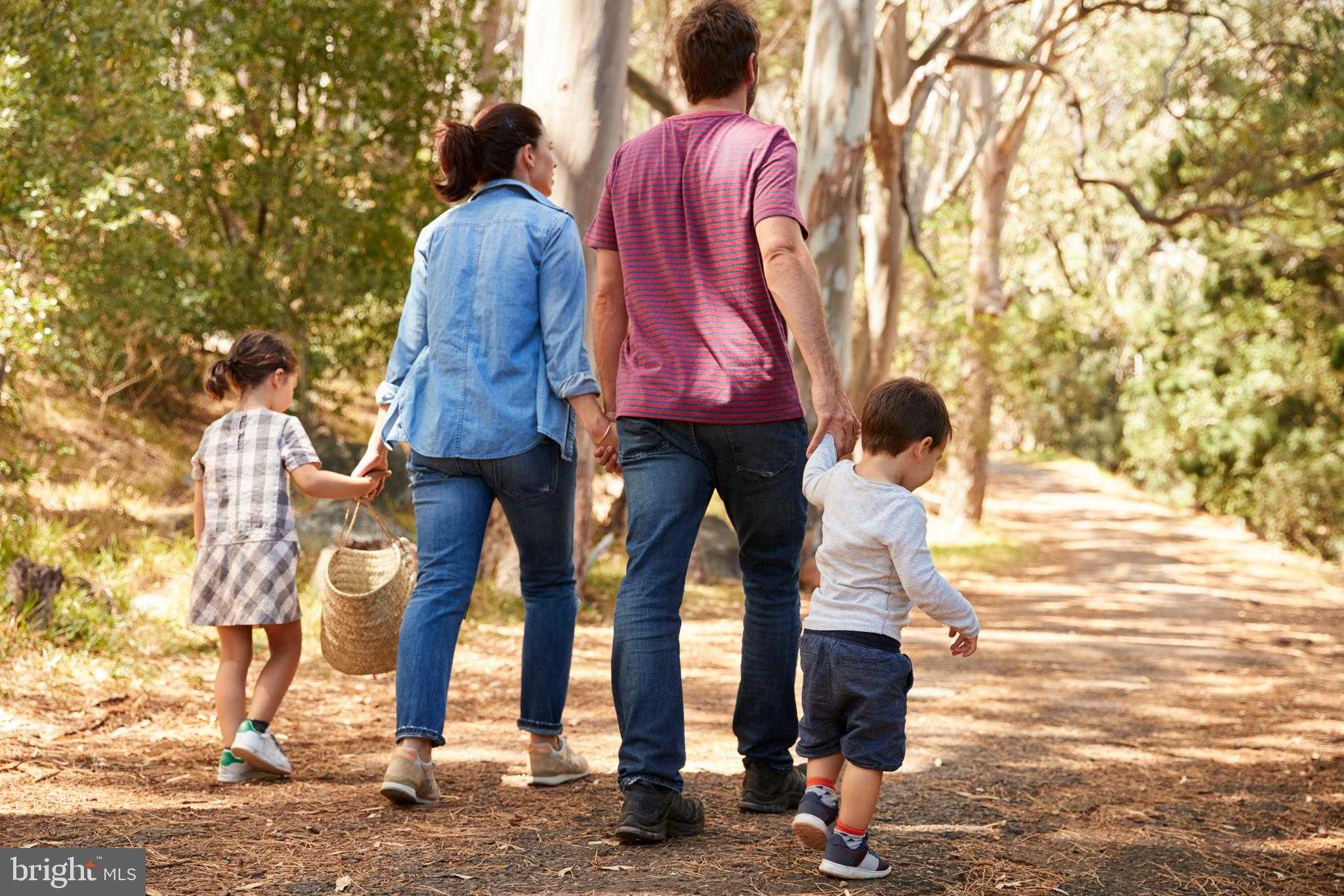 1090 Bluegrass Rd photo 36