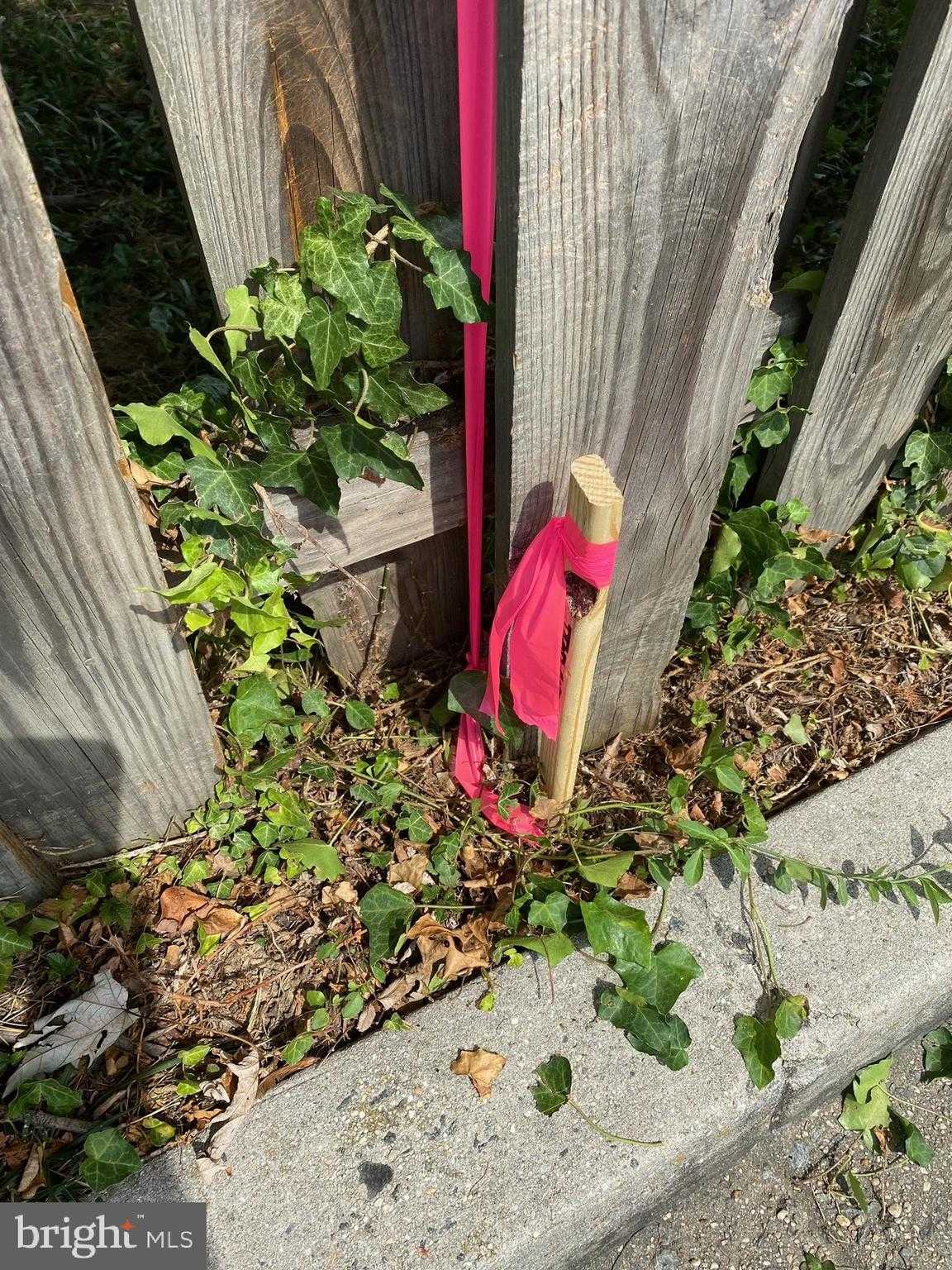 N Emerson St photo 7