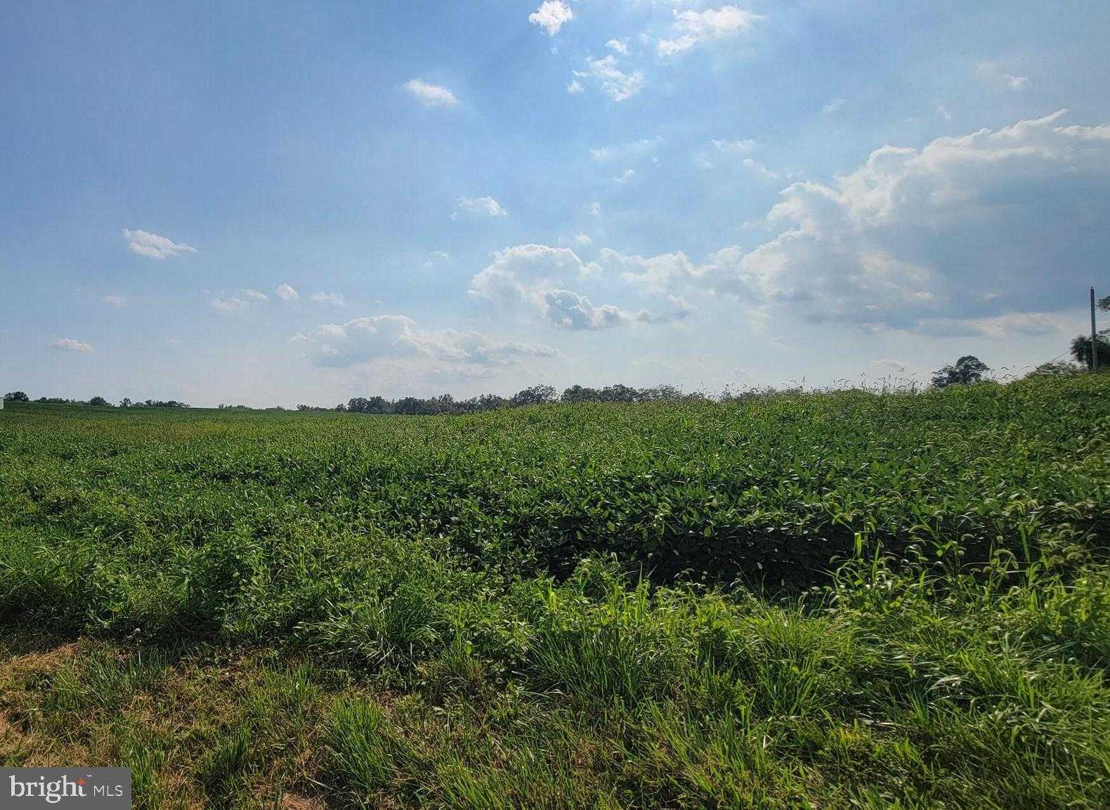 580 Middle Creek Rd photo 2