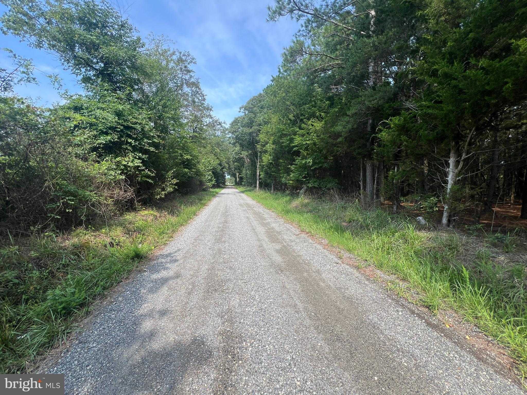 Tidewater Trl photo 2