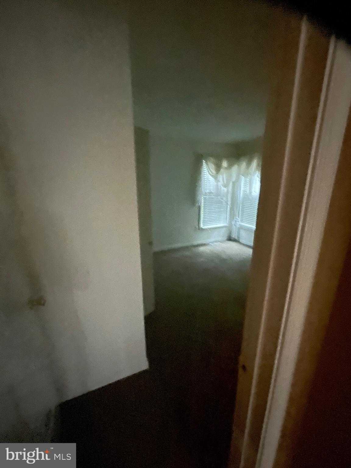 8405 Hardwick CT photo 42