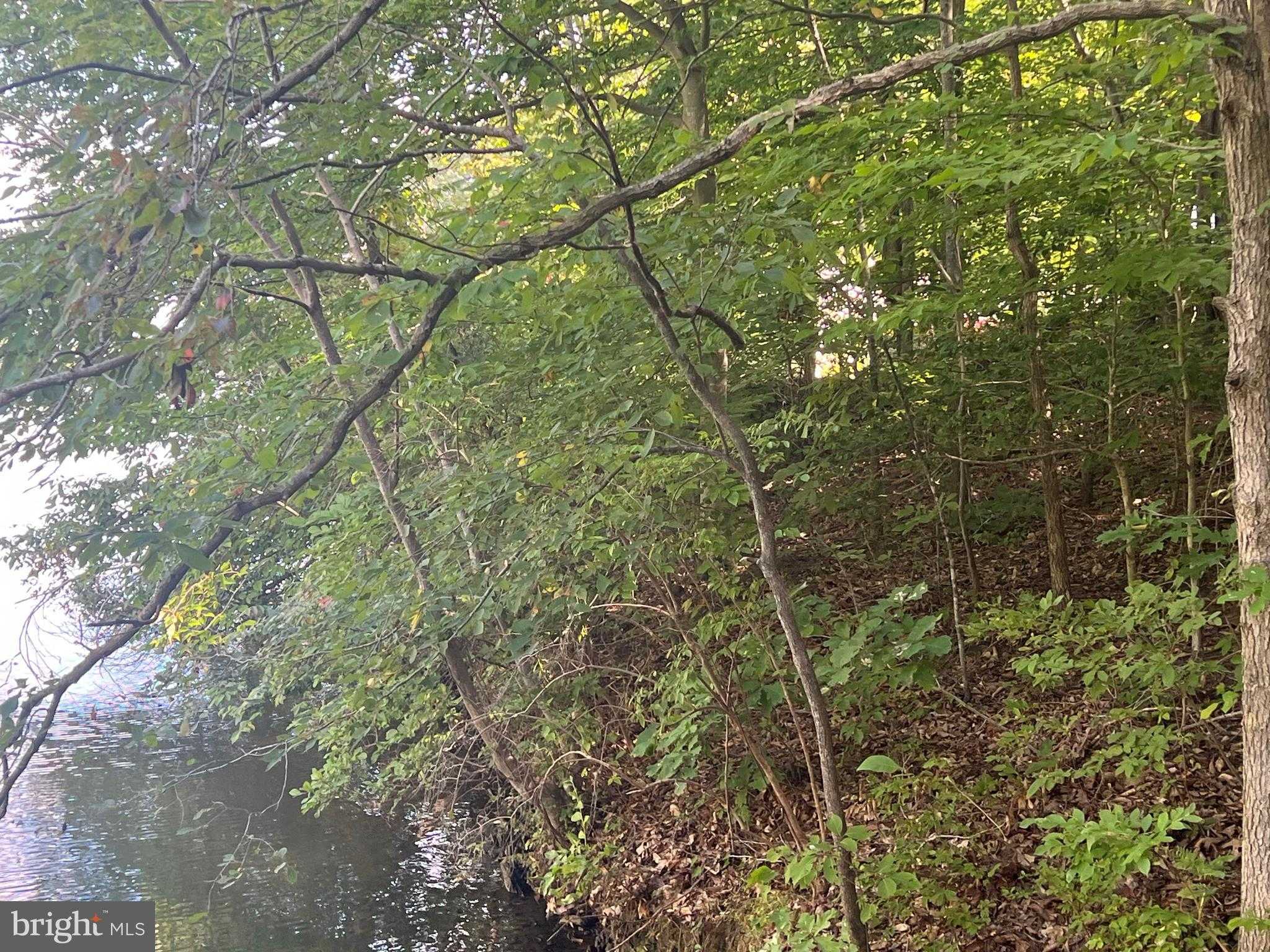 6028 Lost Cove Dr photo 8