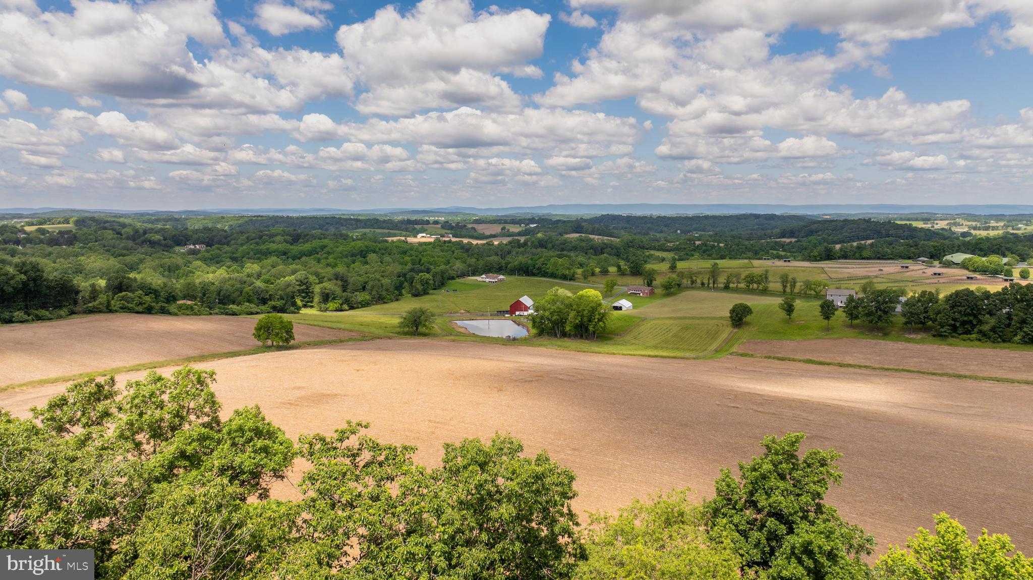 12777 Barnett Dr photo 3