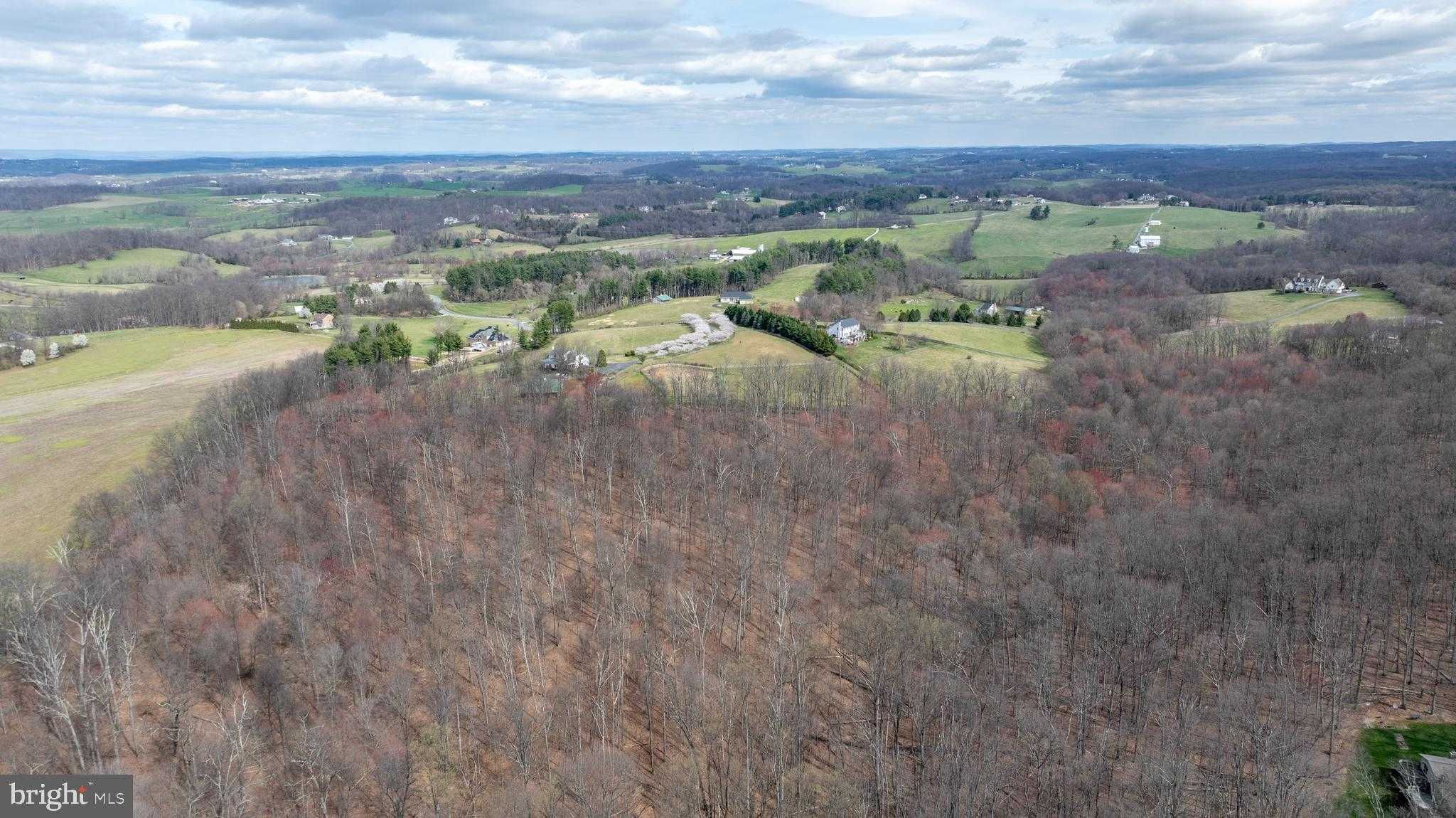 12777 Barnett Dr photo 7