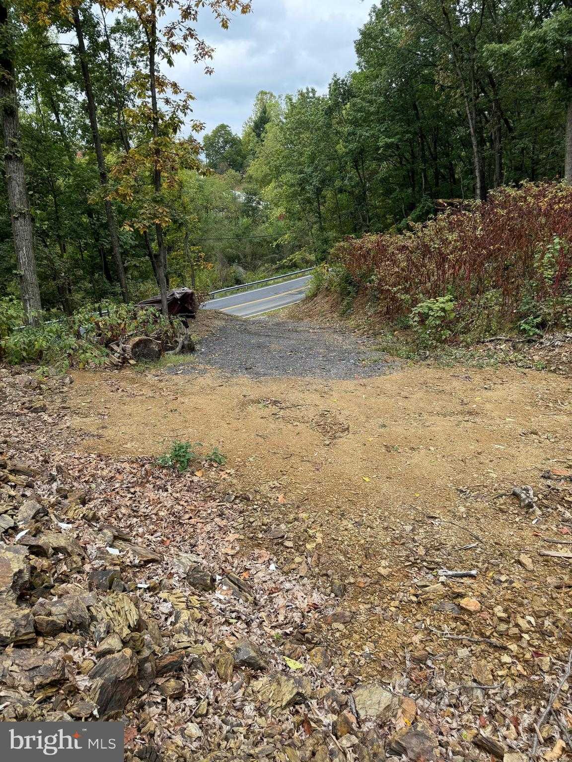 1099 Dowhower Rd photo 19