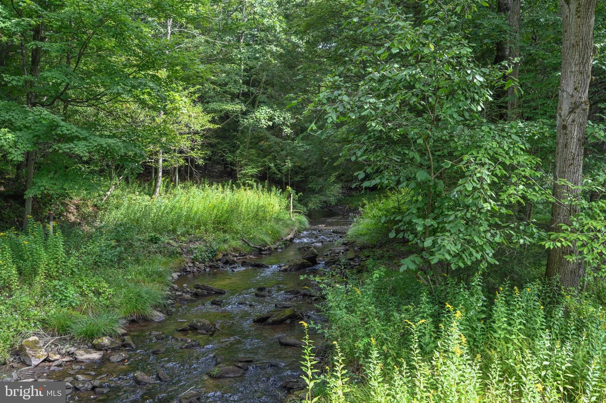 2527 Pigs Ear Rd photo 75