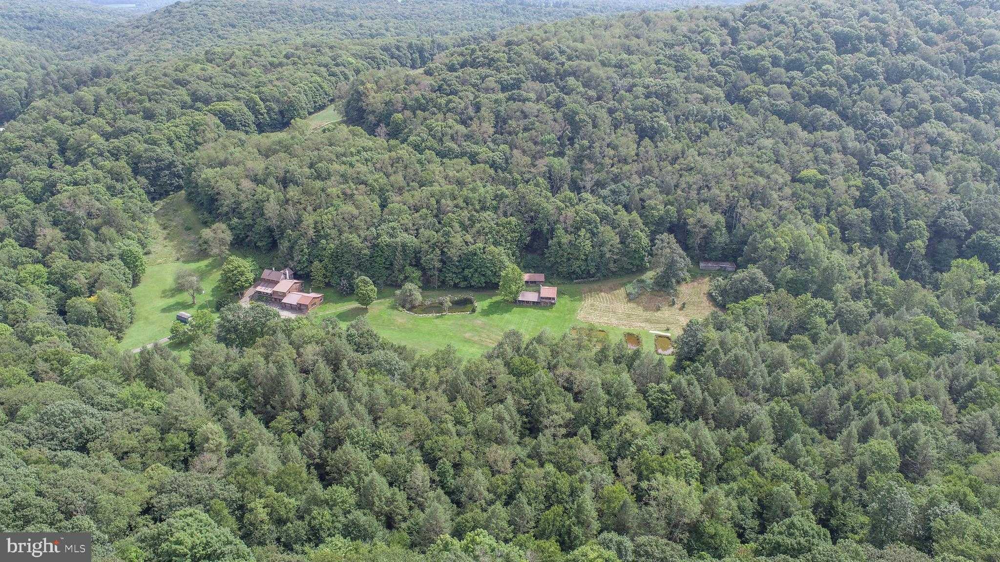 2527 Pigs Ear Rd photo 86