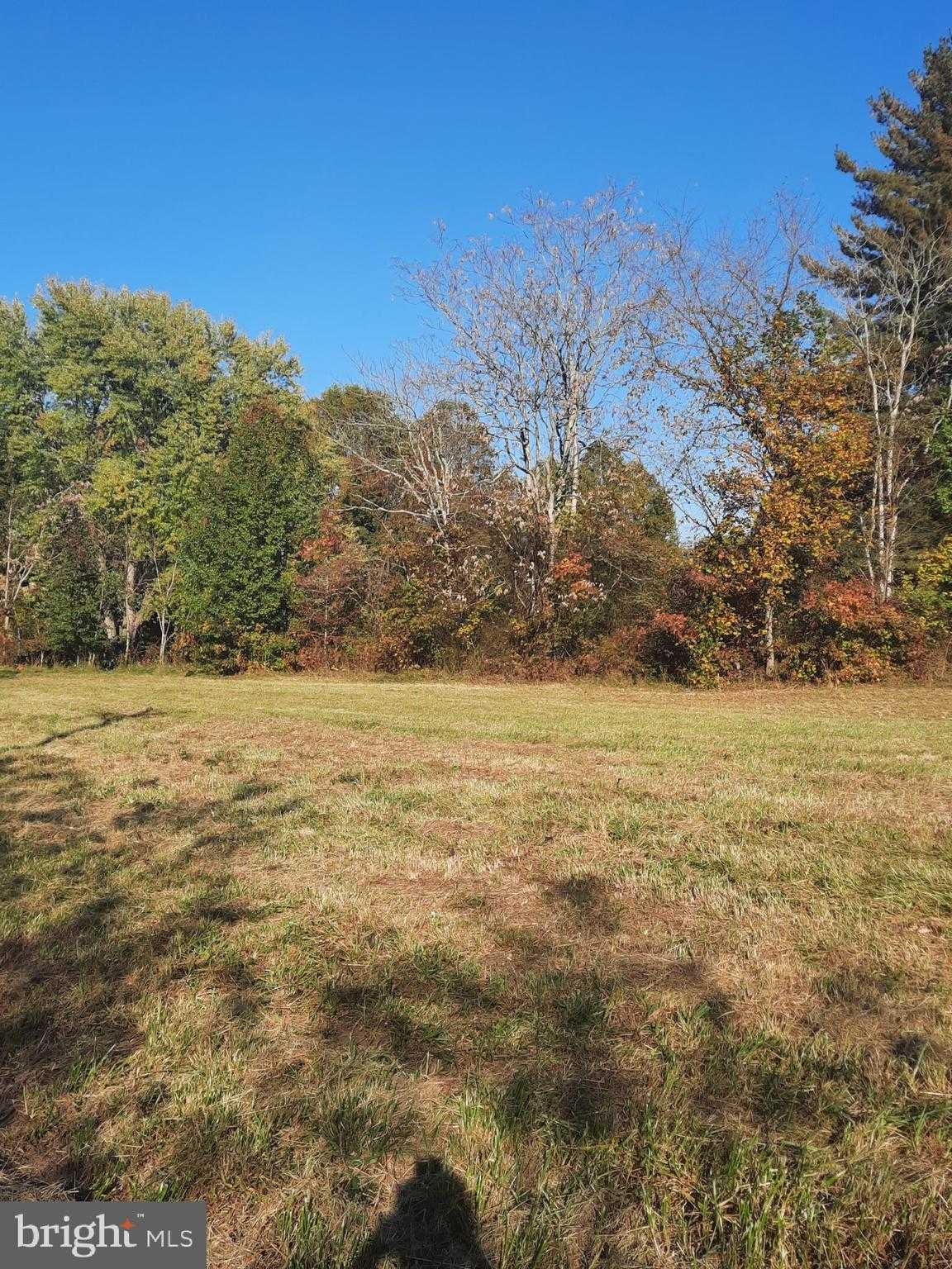 2950 Chaney Rd photo 2