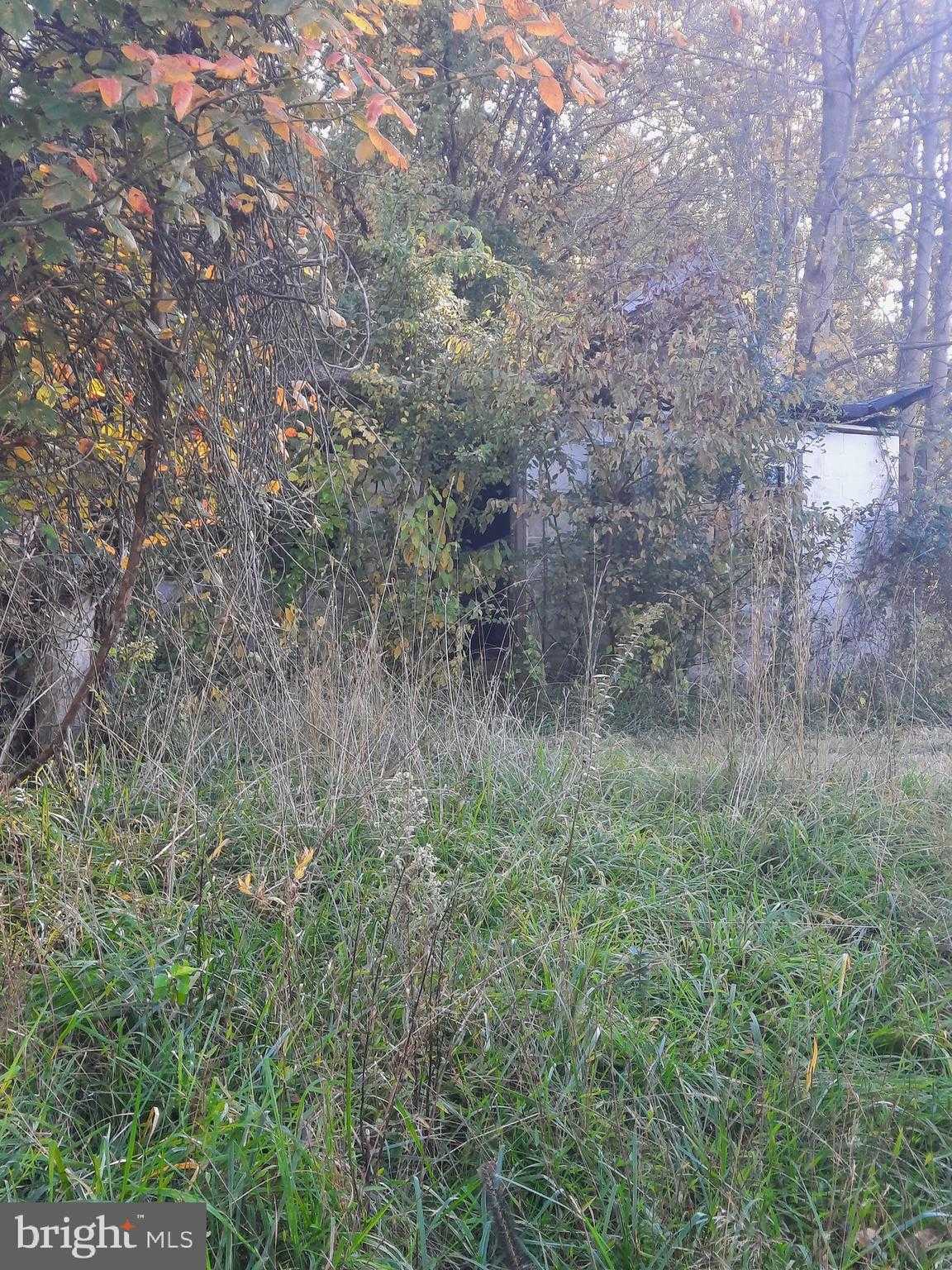 2950 Chaney Rd photo 4