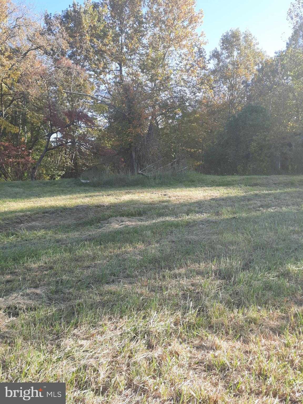 2950 Chaney Rd photo 6