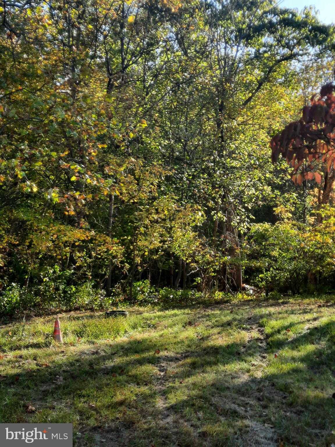 2950 Chaney Rd photo 7