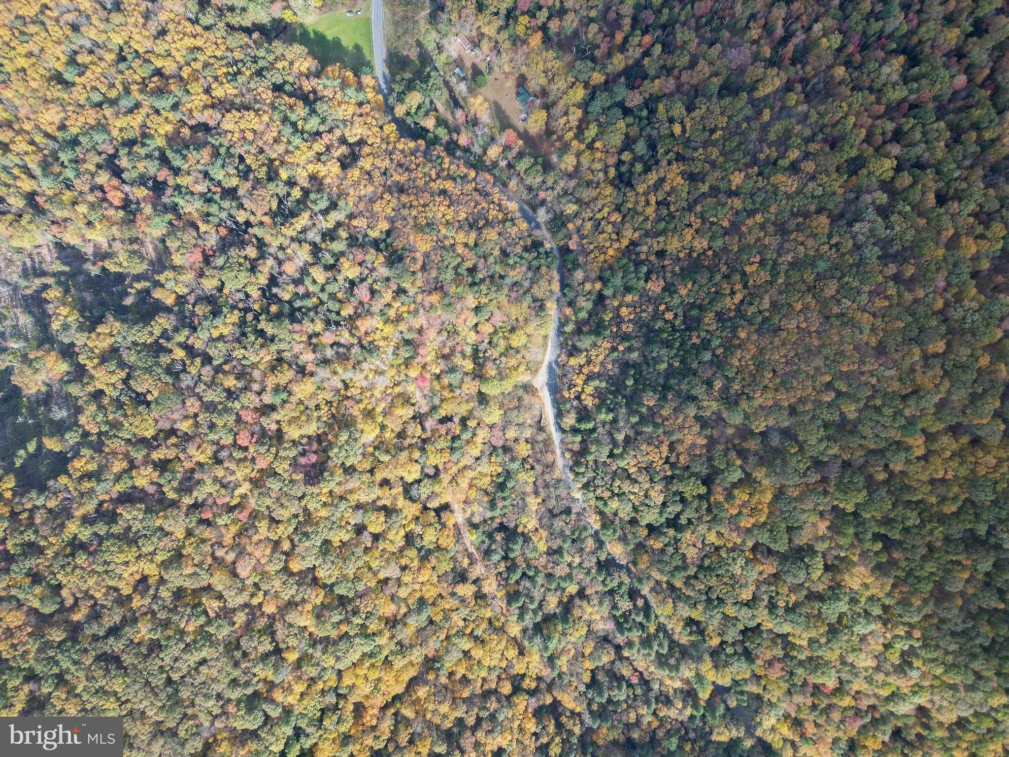 609 Catawissa Rd photo 9