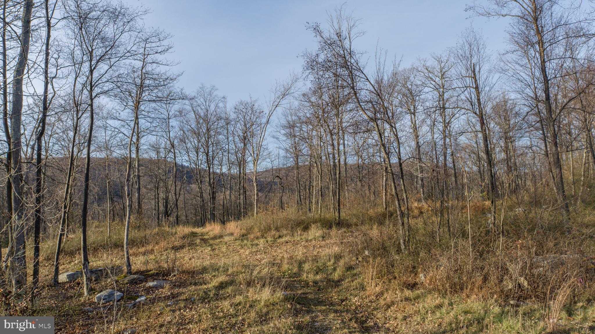 Rocky Gap Trl photo 33