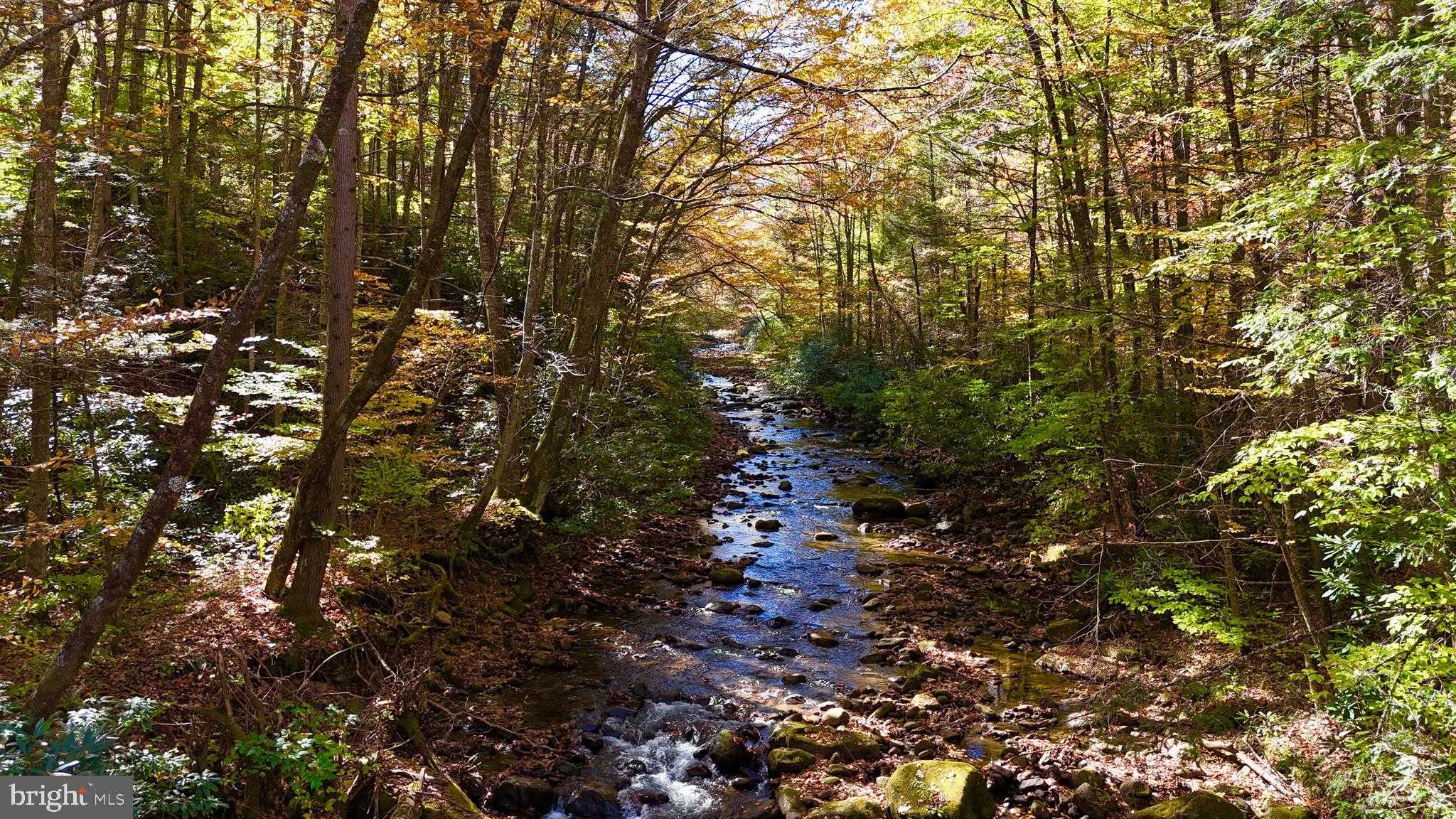 2453 Channell Rd photo 11