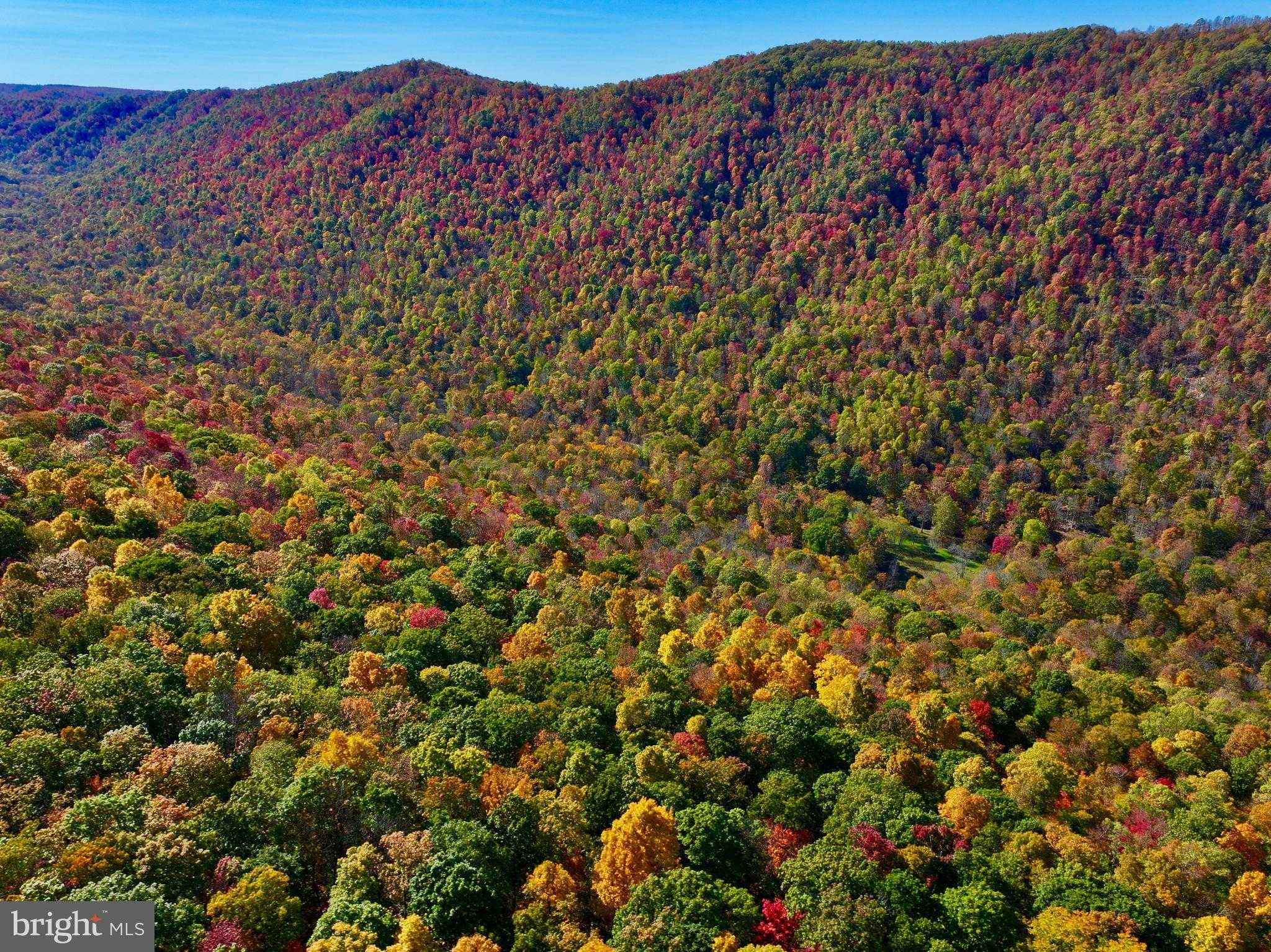 2453 Channell Rd photo 23