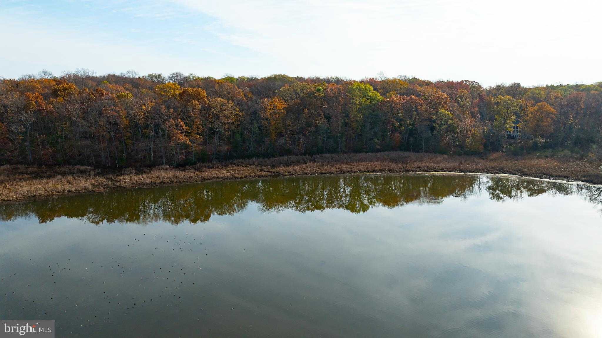 6 Shady Cove Ln photo 10