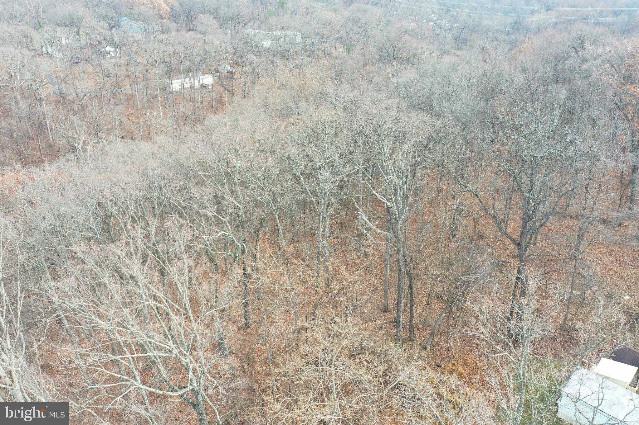 155 White Fox Trl photo 27