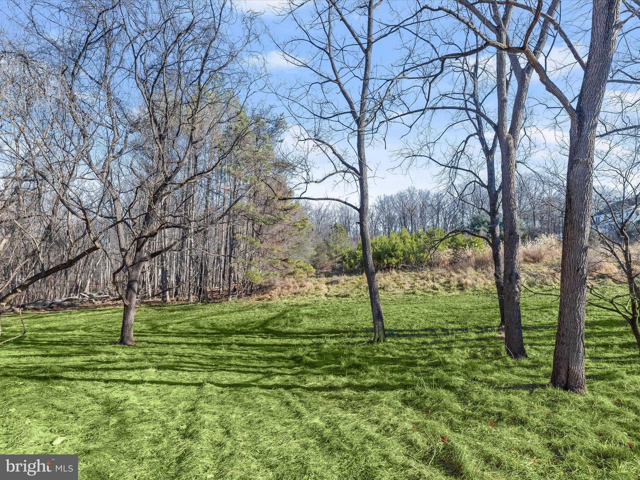 12668 Triadelphia Rd photo 25