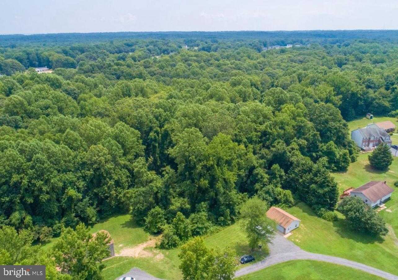 124 Turnabout Ln photo 7