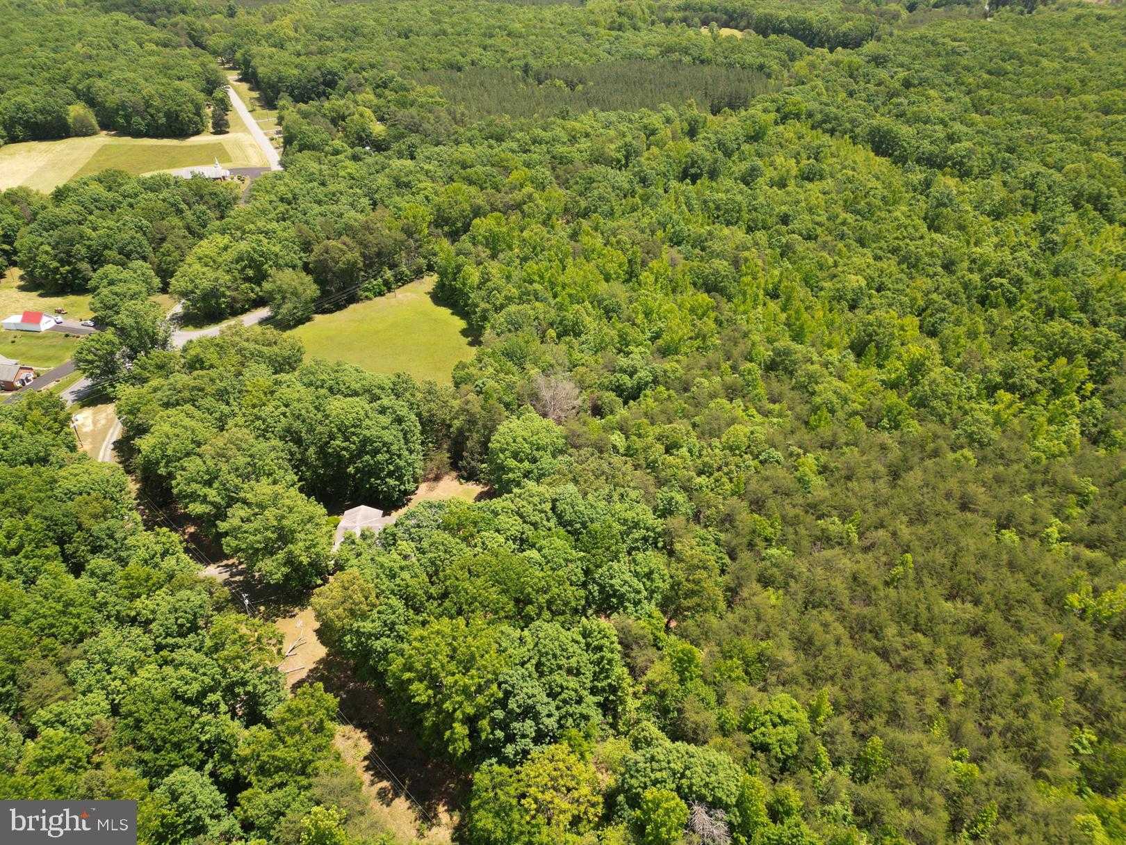 4063 Pattie Rd photo 3