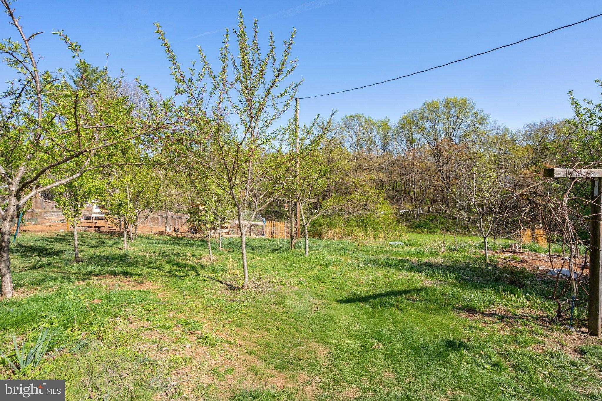 571 Richmond Rd photo 18