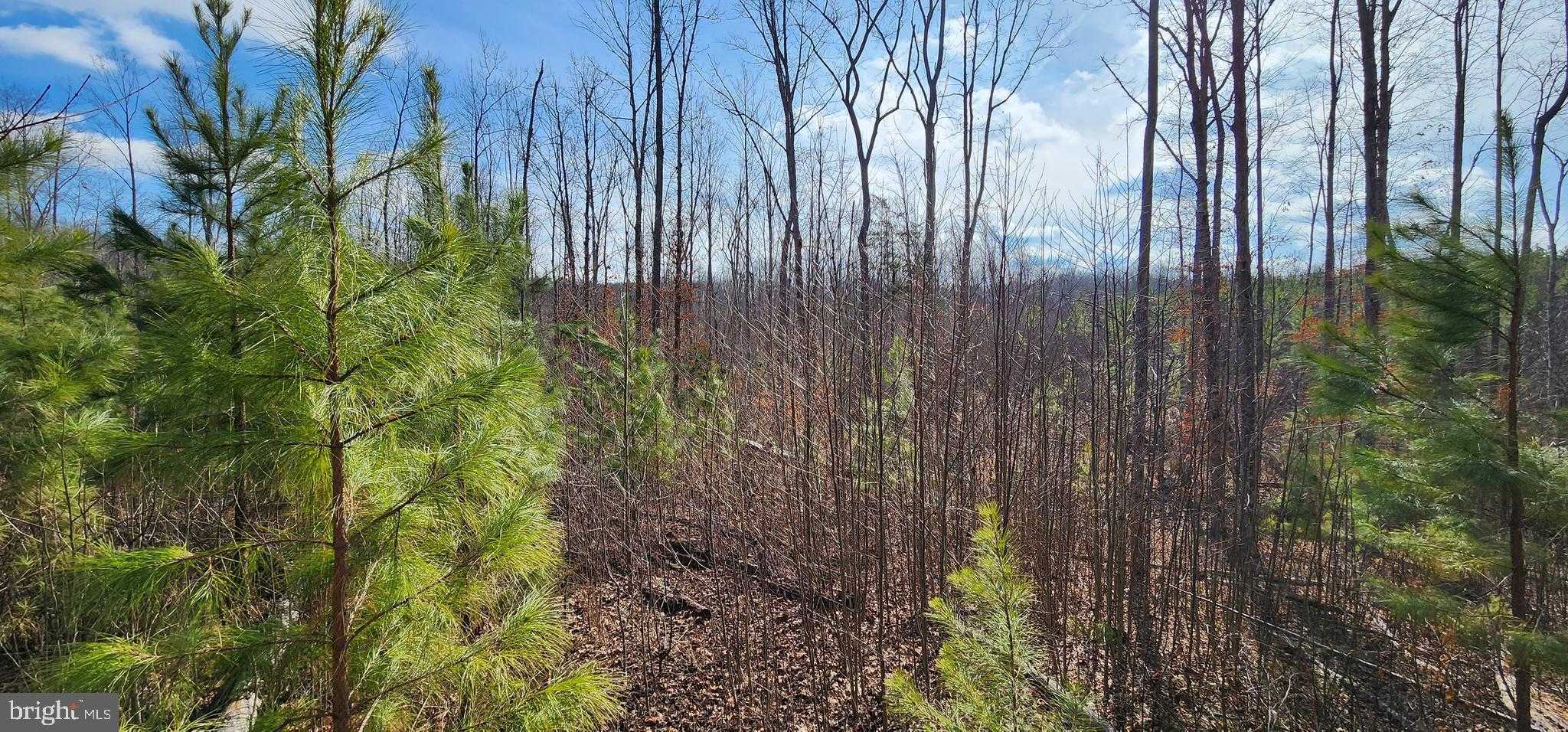 Vawter Corner Rd photo 5