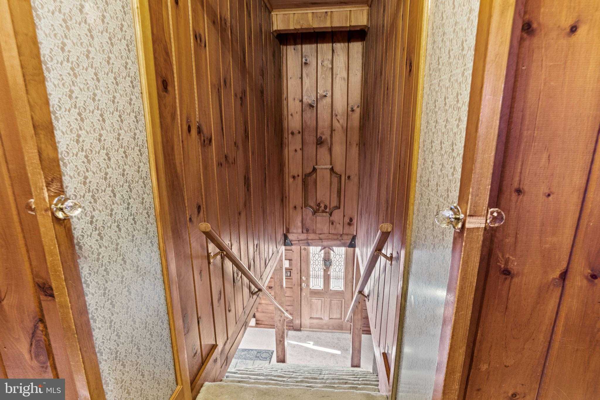 46 Woodview Rd photo 20