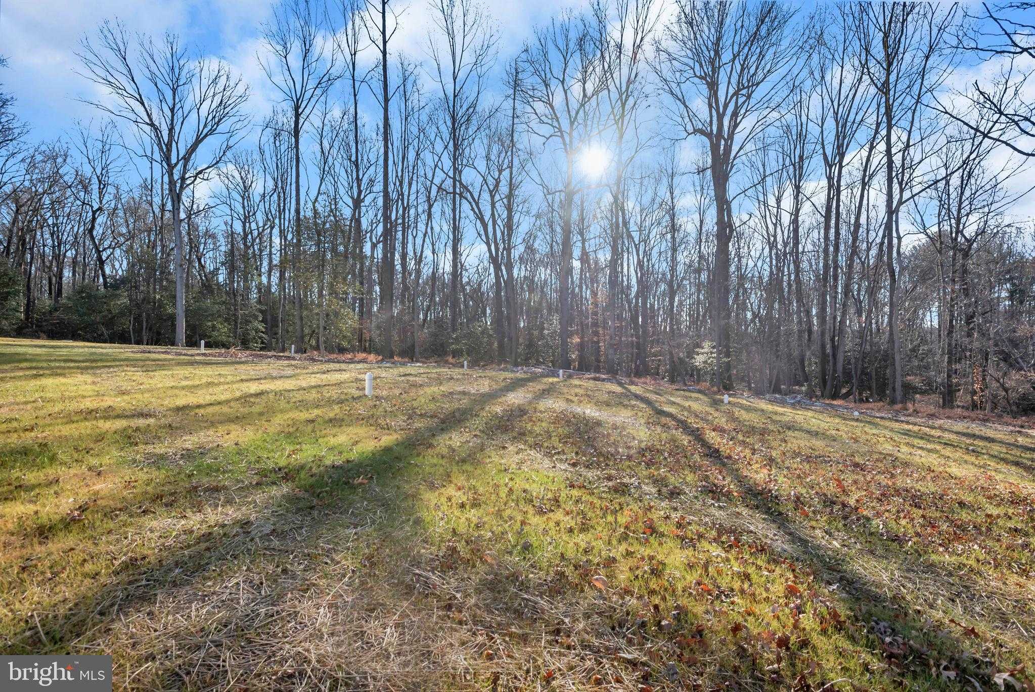 6502 Whiteail Crossing Way photo 38