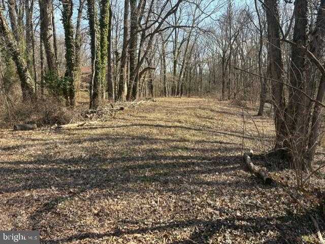 8126 Stacey Rd photo 2