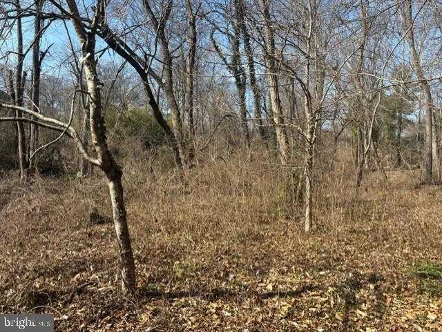 8126 Stacey Rd photo 5