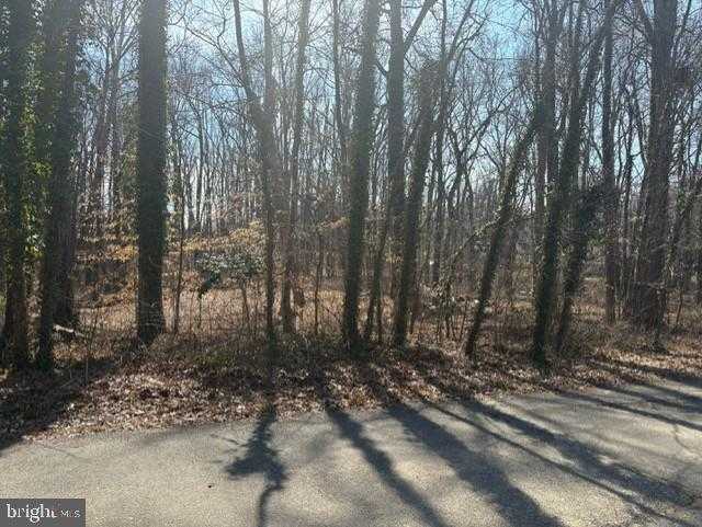 8127 Stacey Rd photo 3