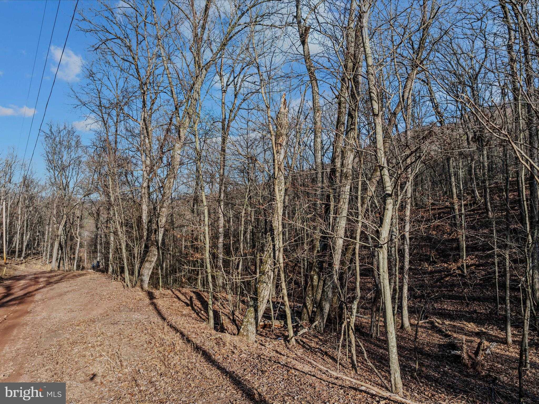 ORE LANE LOT #25 photo 11