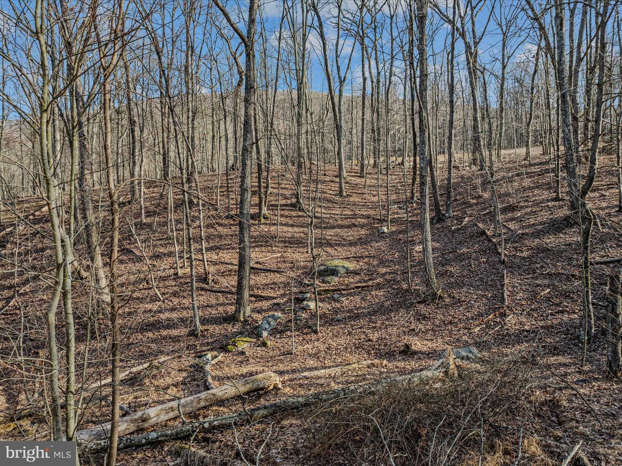 ORE LANE LOT #25 photo 7