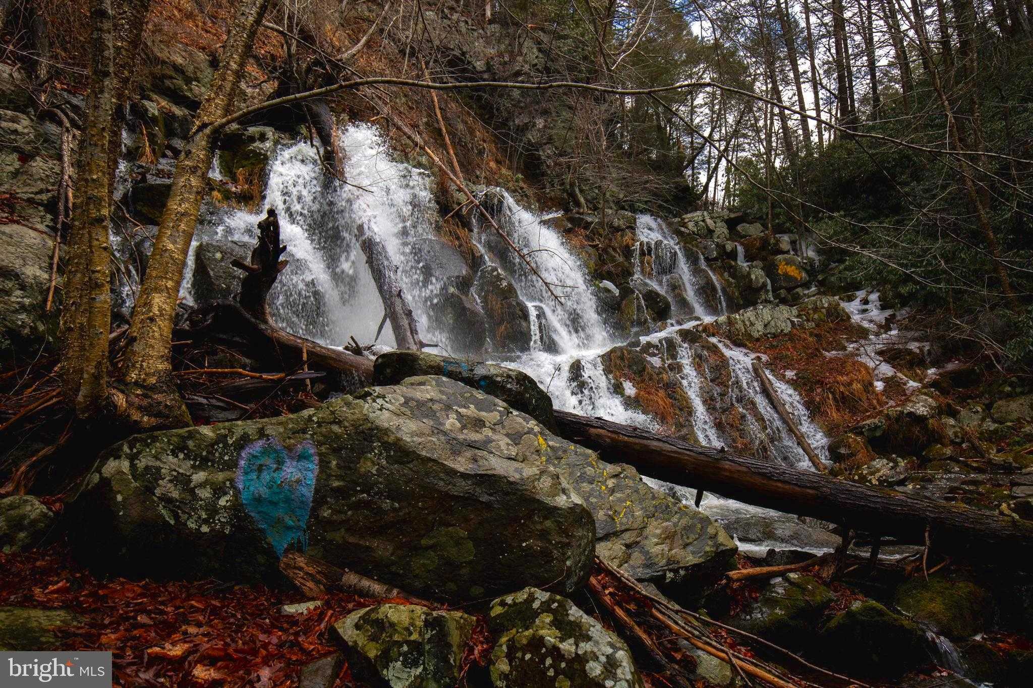 2480 Paradise Trl photo 2