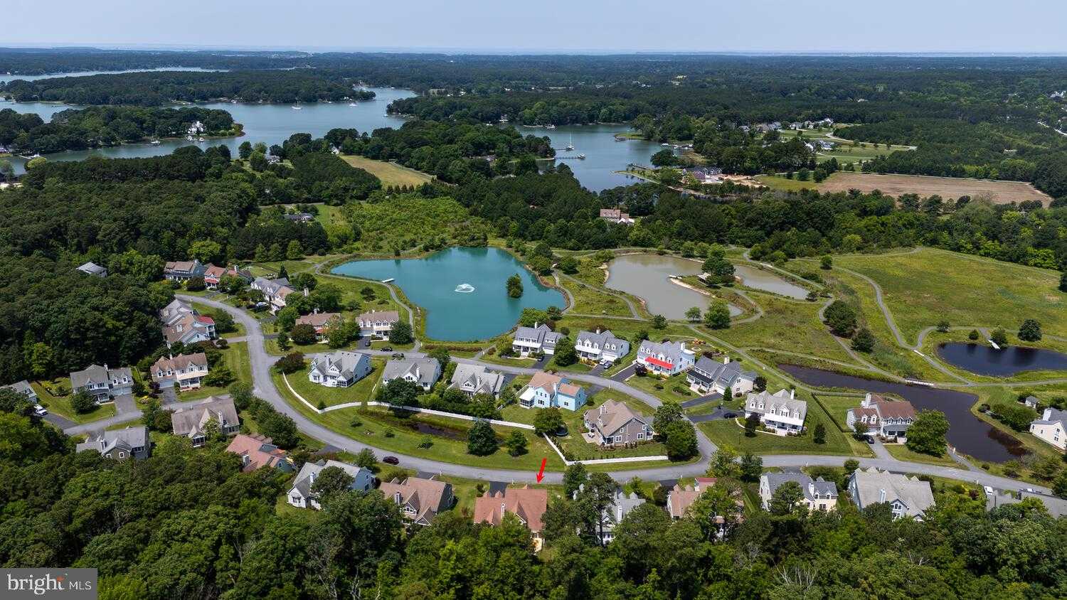 24977 Back Creek Dr photo 57